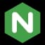 NGINX web server logo